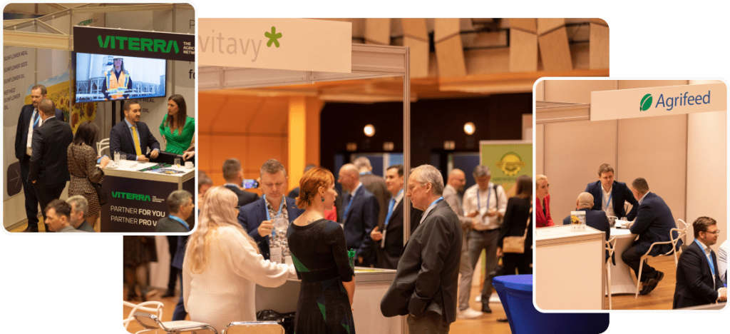 Karlsboerse Stand Home BG